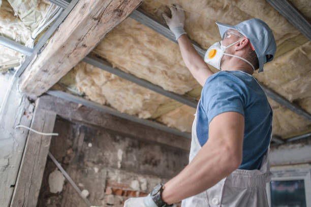 Best Eco-Friendly Insulation in Lynbrook, NY